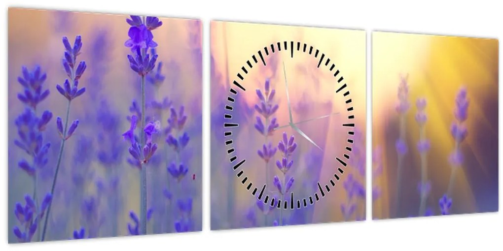 Tablou - Levănțică (cu ceas) (90x30 cm)