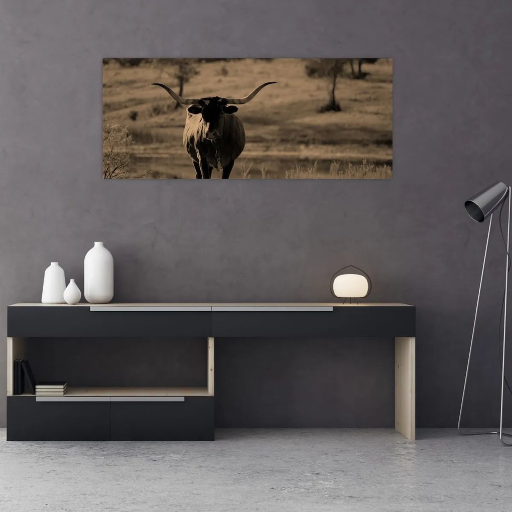 Tablou - Vacă din Texas (120x50 cm)