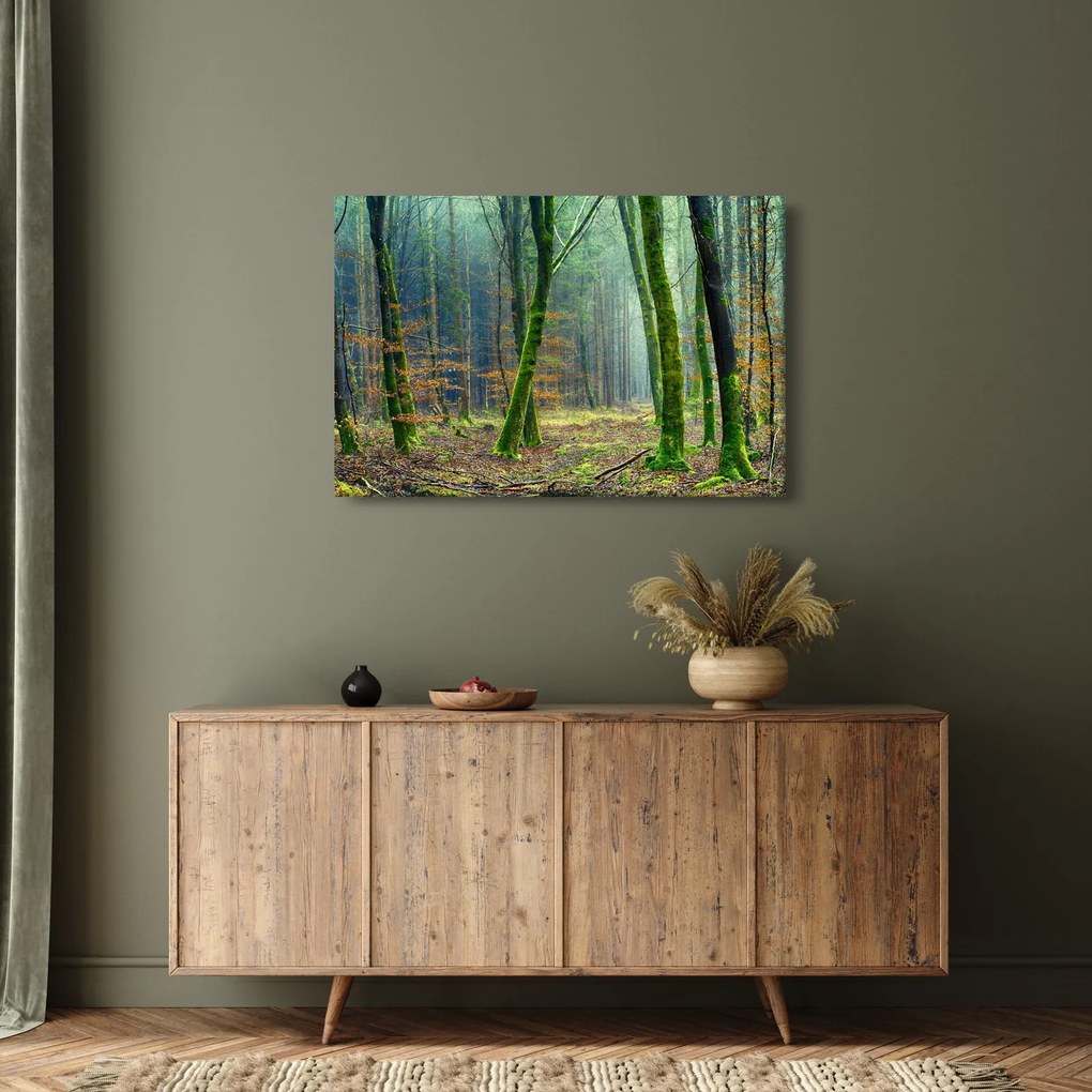 Tablou cu pădure (90x60 cm)