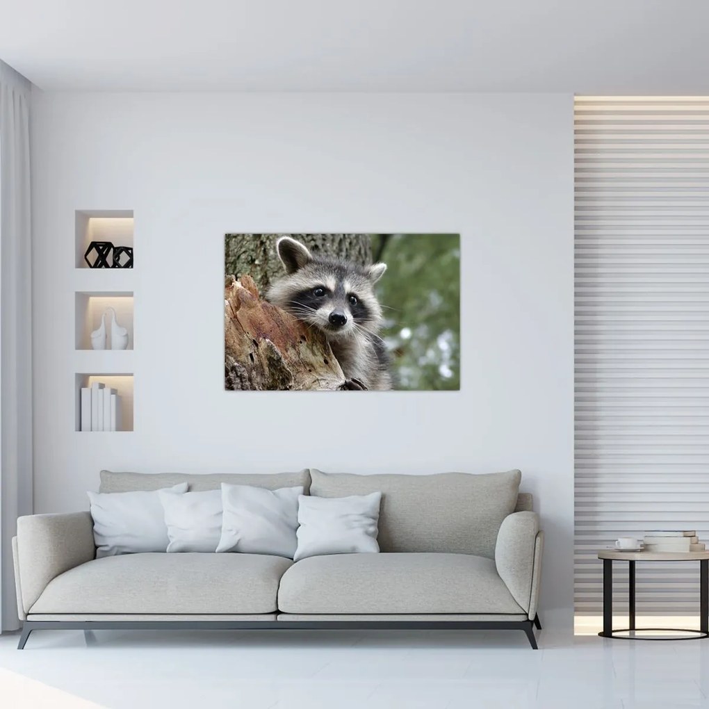 Tablou - Raton (90x60 cm)