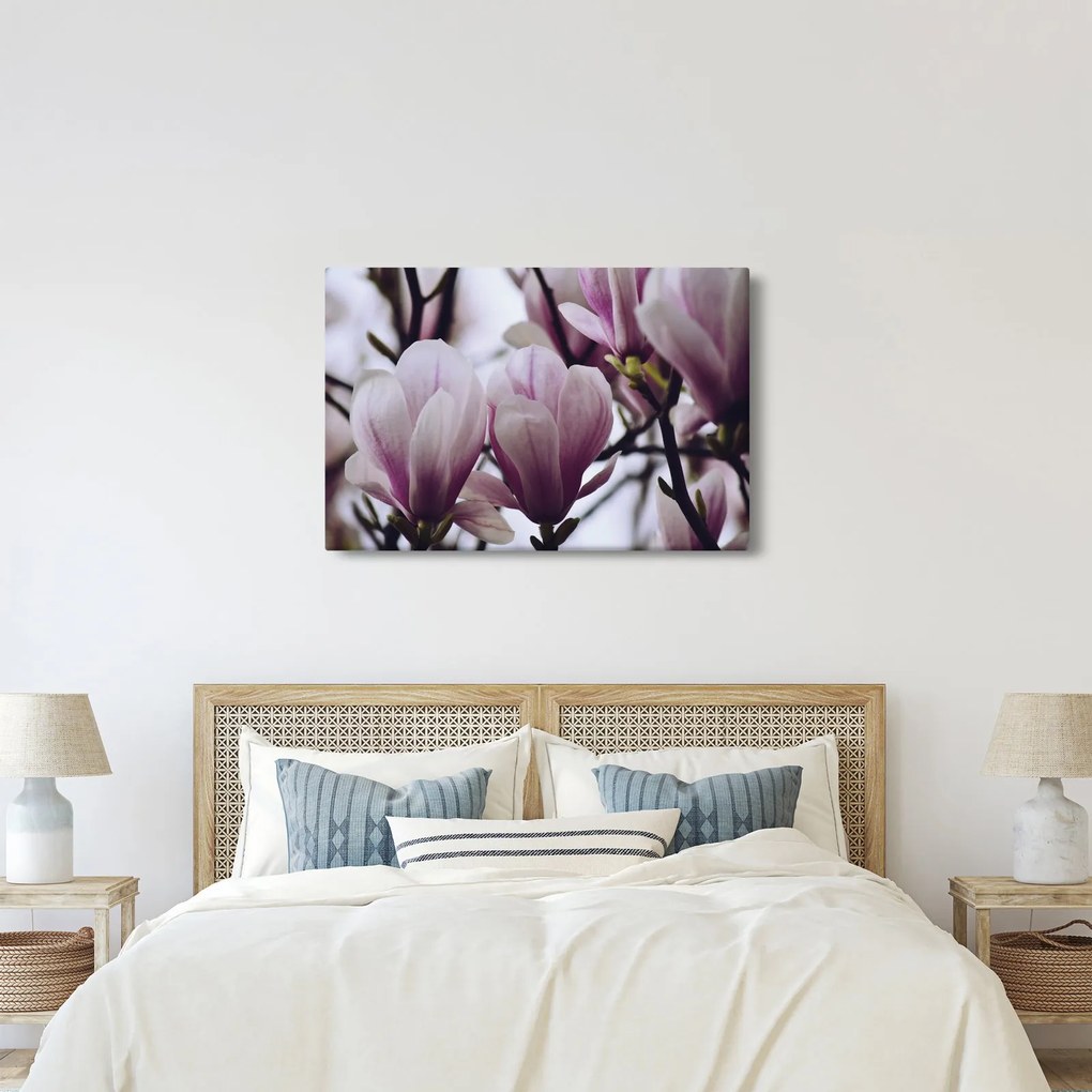 Tablou - Magnolie (90x60 cm)