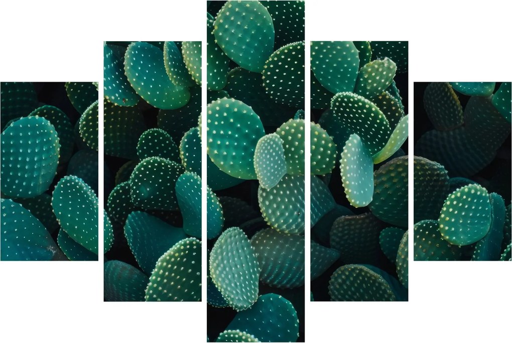 Tablou - Opuntia (150x105 cm)