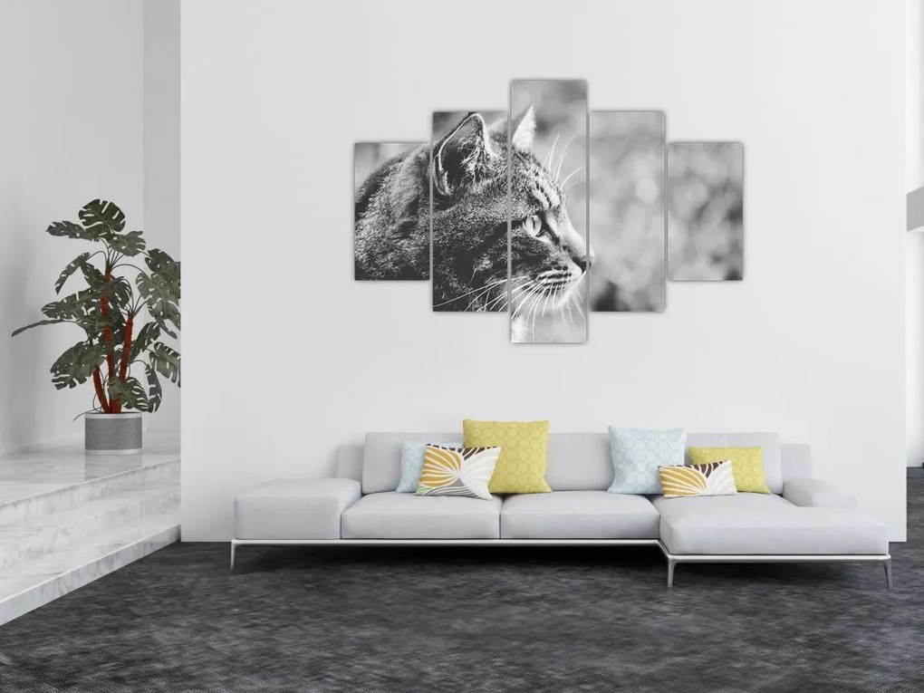 Tablou - Pisica (150x105 cm)
