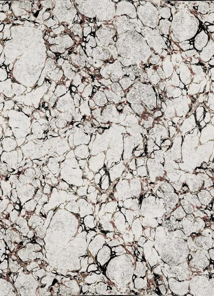 Fototapet, Romberg, Graphite, Rebel Walls
