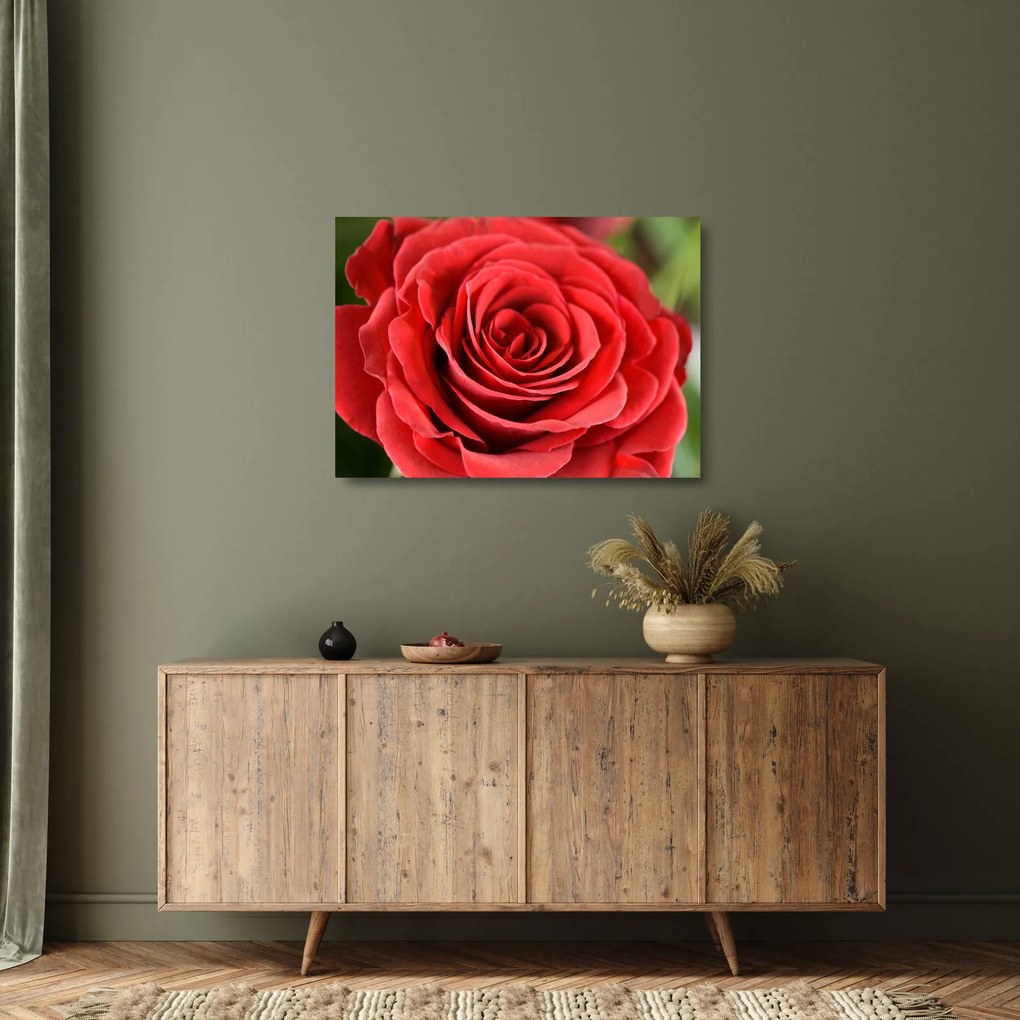Tablou pe sticlă - Flori de trandafir (70x50 cm)