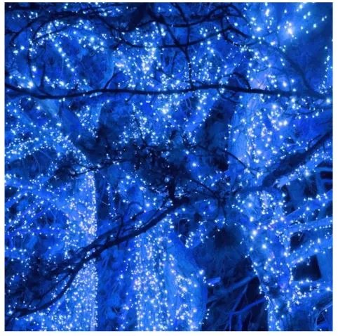 Instalație luminoasă de Crăciun 18m 300 LED Albastru