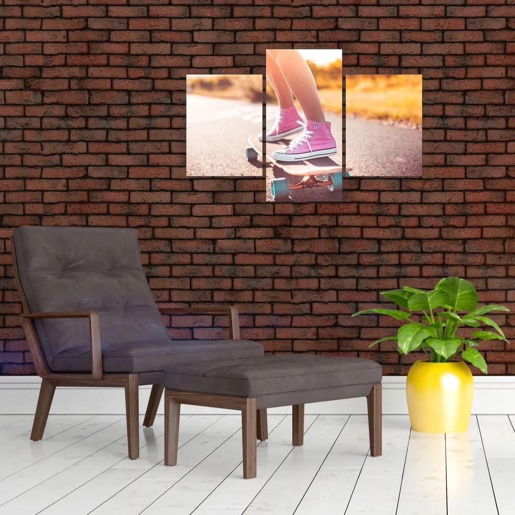 Tablou cu scateboard (90x60 cm)