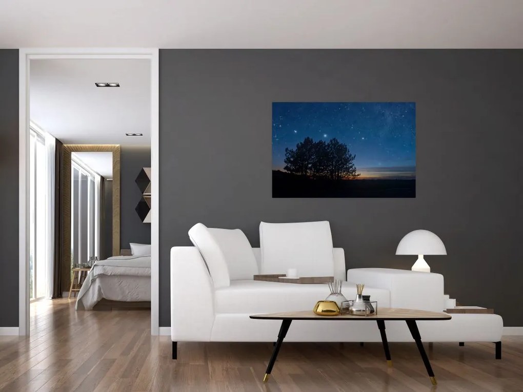 Tablou cu copaci noapte (90x60 cm)