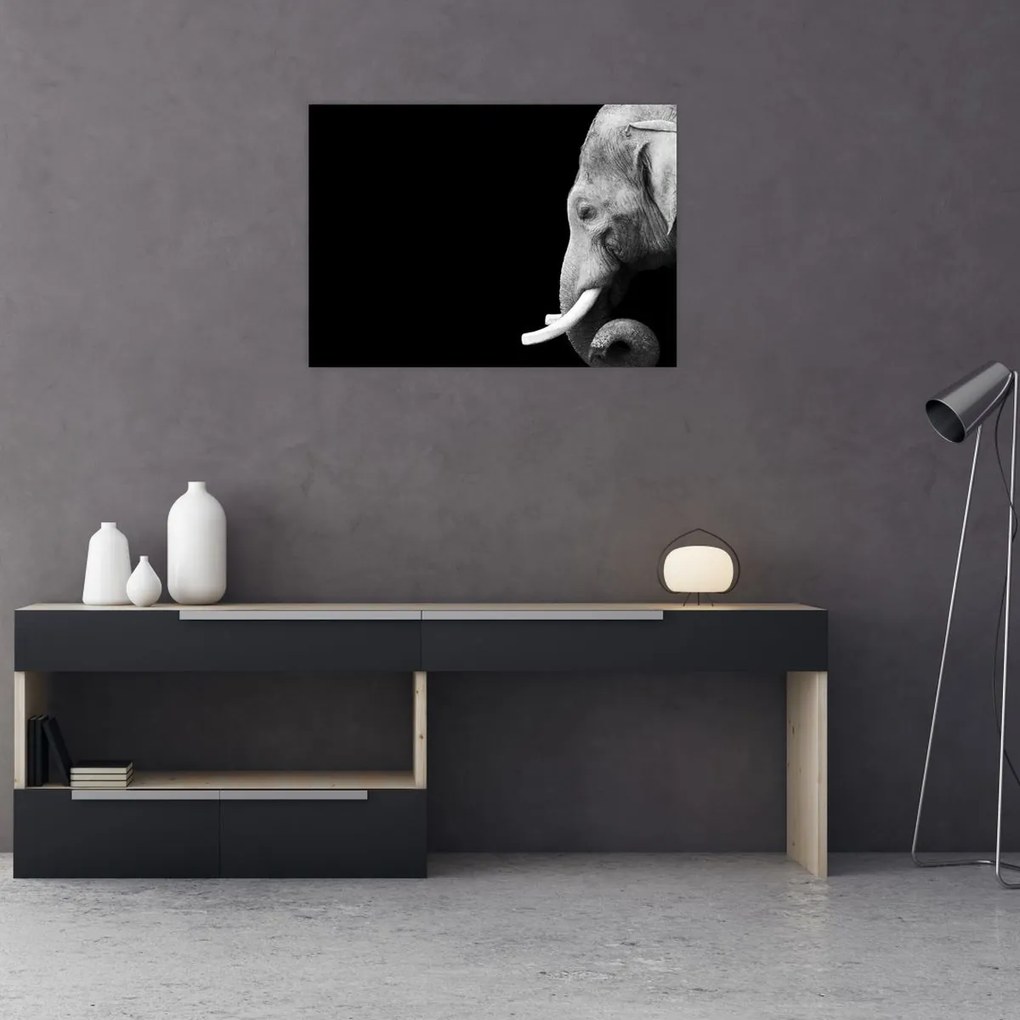 Tablou pe sticlă - Elefant (70x50 cm)