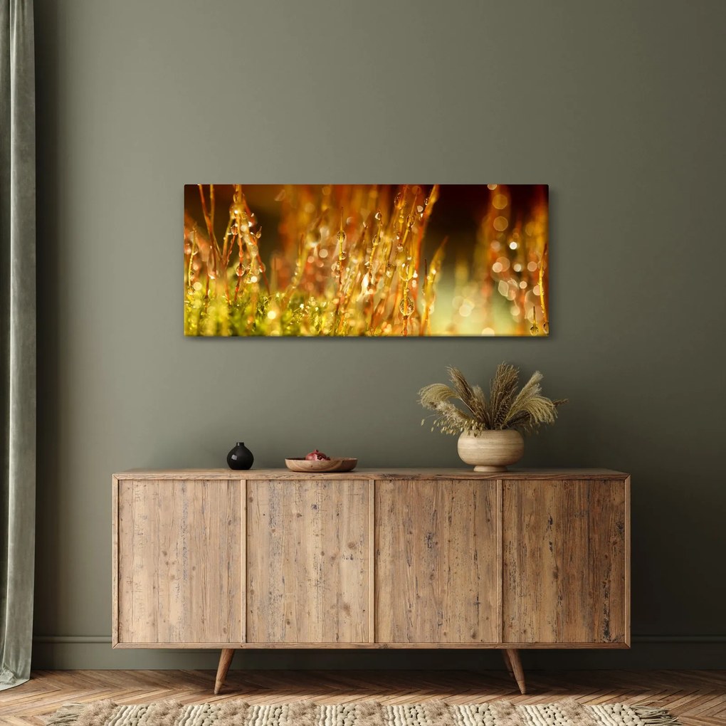Tablou - Detaliu rouă (120x50 cm)