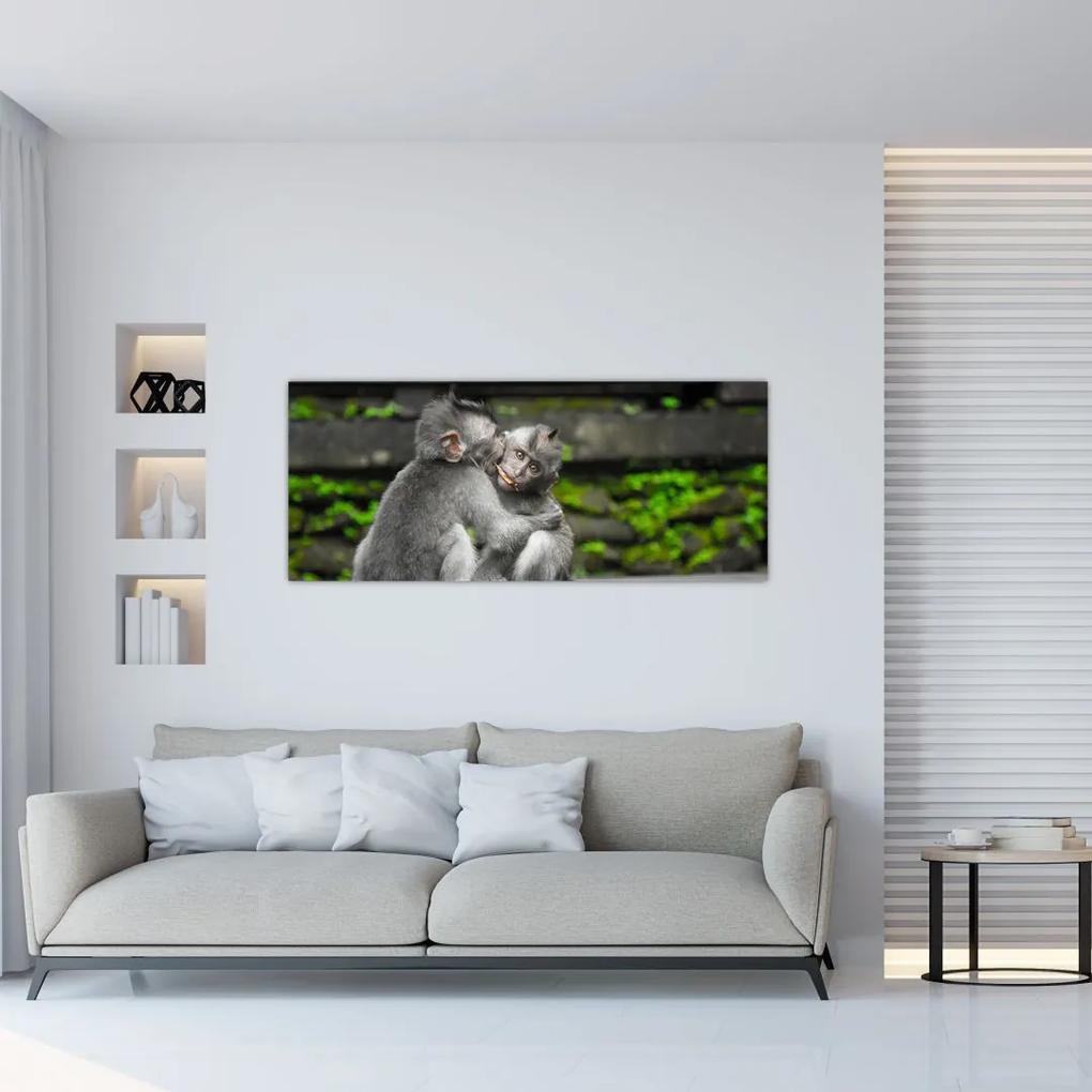 Tablou  - maimuțica (120x50 cm), în 40 de alte dimensiuni noi