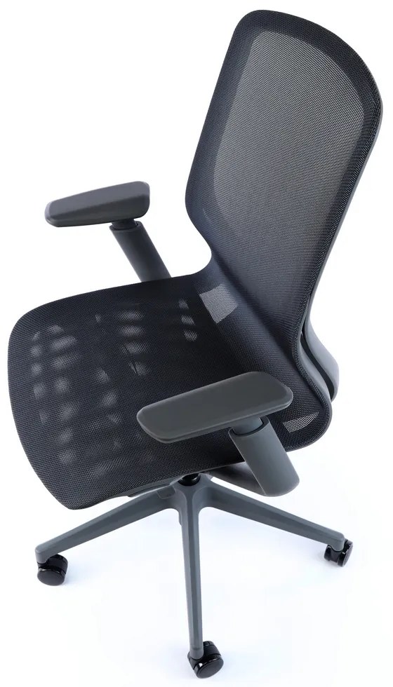 Scaun de birou Lareno, negru/gri