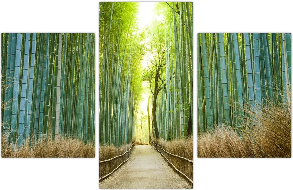 Tablou - Strada cu bambuși (90x60 cm)