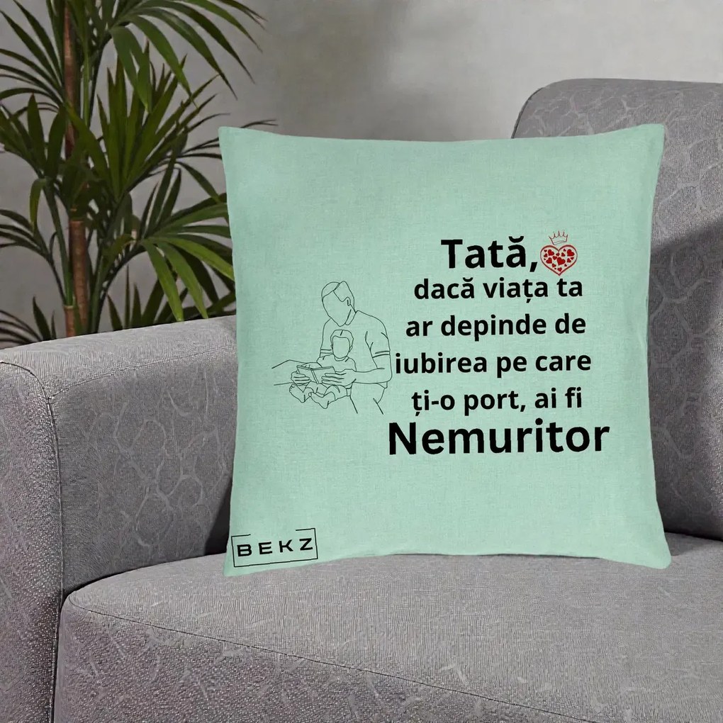 Cadou pentru Tata - Perna Personalizata Tata Nemuritor Lectura, 40x40 cm, Verde Menta, Husa Detasabila, Perna Inclusa, BEKZ®