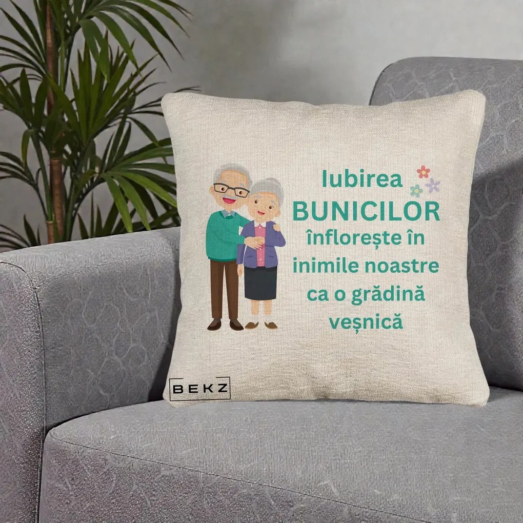 Cadou pentru Bunici - Perna Personalizata Bunicii Iubirea Infloreste Cuplu Senior Teal, 40x40 cm, Bej Canapea, Husa Detasabila, Perna Inclusa, BEKZ®