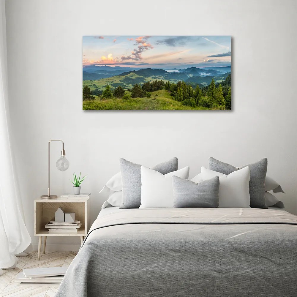 Tablouri tipărite pe pânză Panorama pieniny