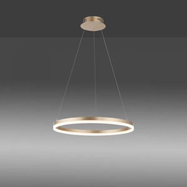 Lustră LED dimabilă pe cablu Paul Neuhaus 2382-60 TITUS LED/38,5W/230V