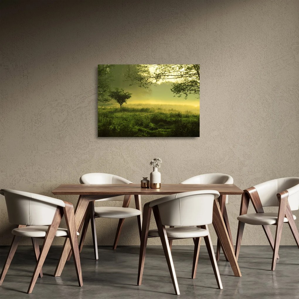 Tablou pe sticlă - Pădurea trezită (70x50 cm)