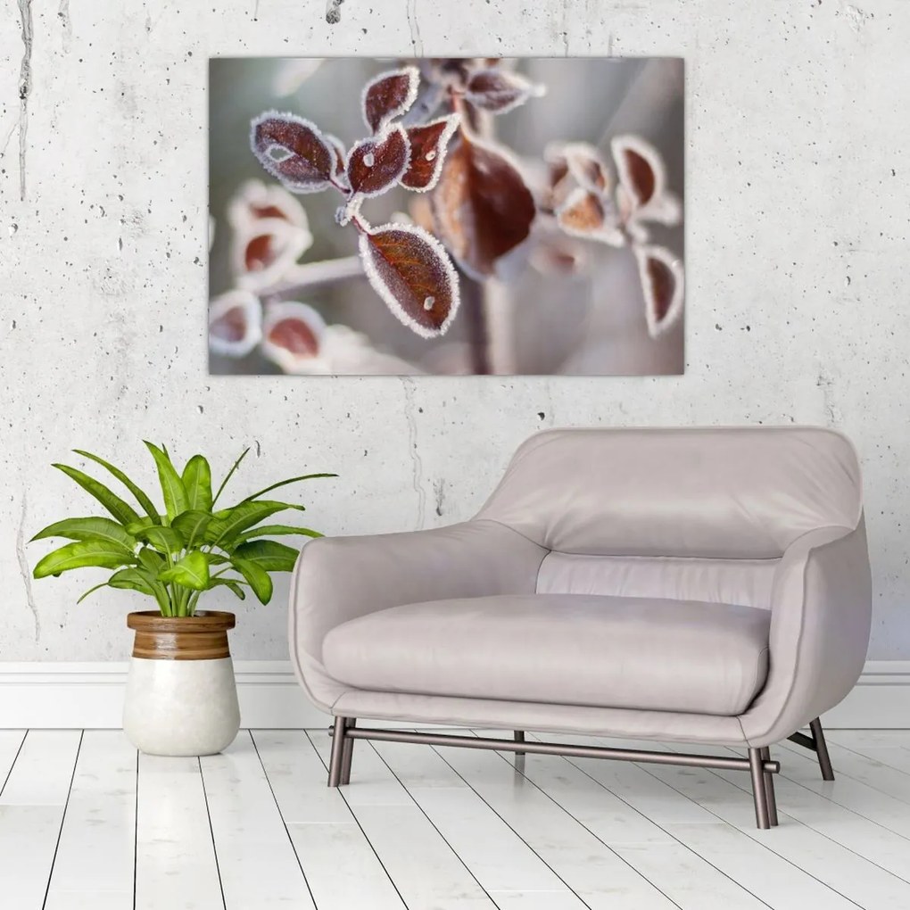 Tablou - Detaliu frunze (90x60 cm)