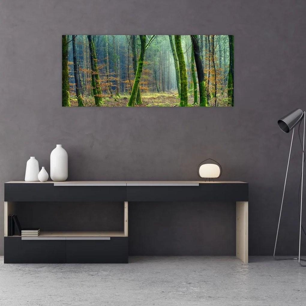 Tablou cu pădure (120x50 cm)