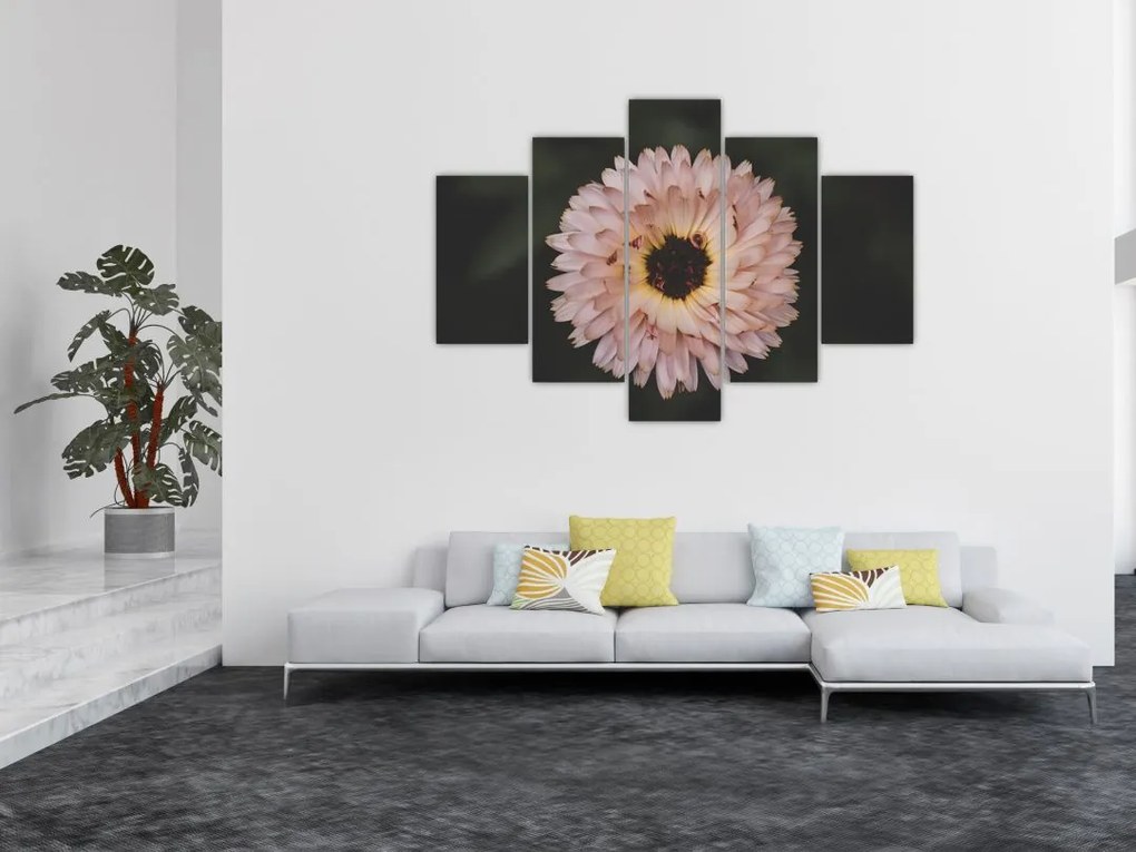 Tablou cu floare portocalie (150x105 cm)