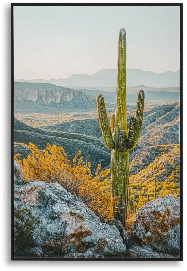 Mauro Ferretti Pictura Pe Panza Lacuita, Cu Rama, Cactus -B- Cm 60X4X88 | Aosom Romania