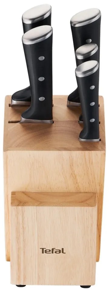 Bloc cu 5 cuțite Ice Force - Tefal