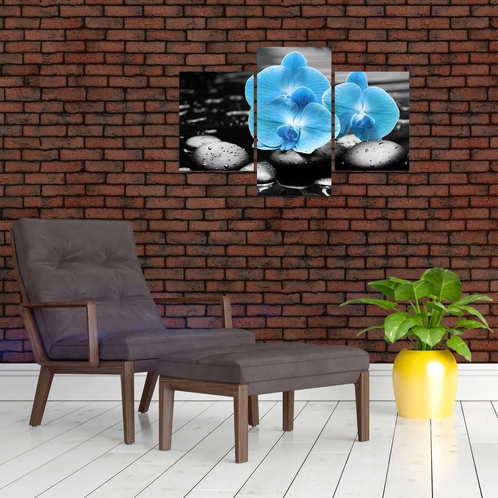 Tablou - Orhidee albastră (90x60 cm)