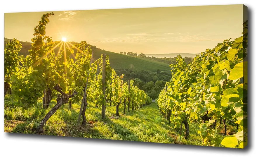 Print pe canvas Vie