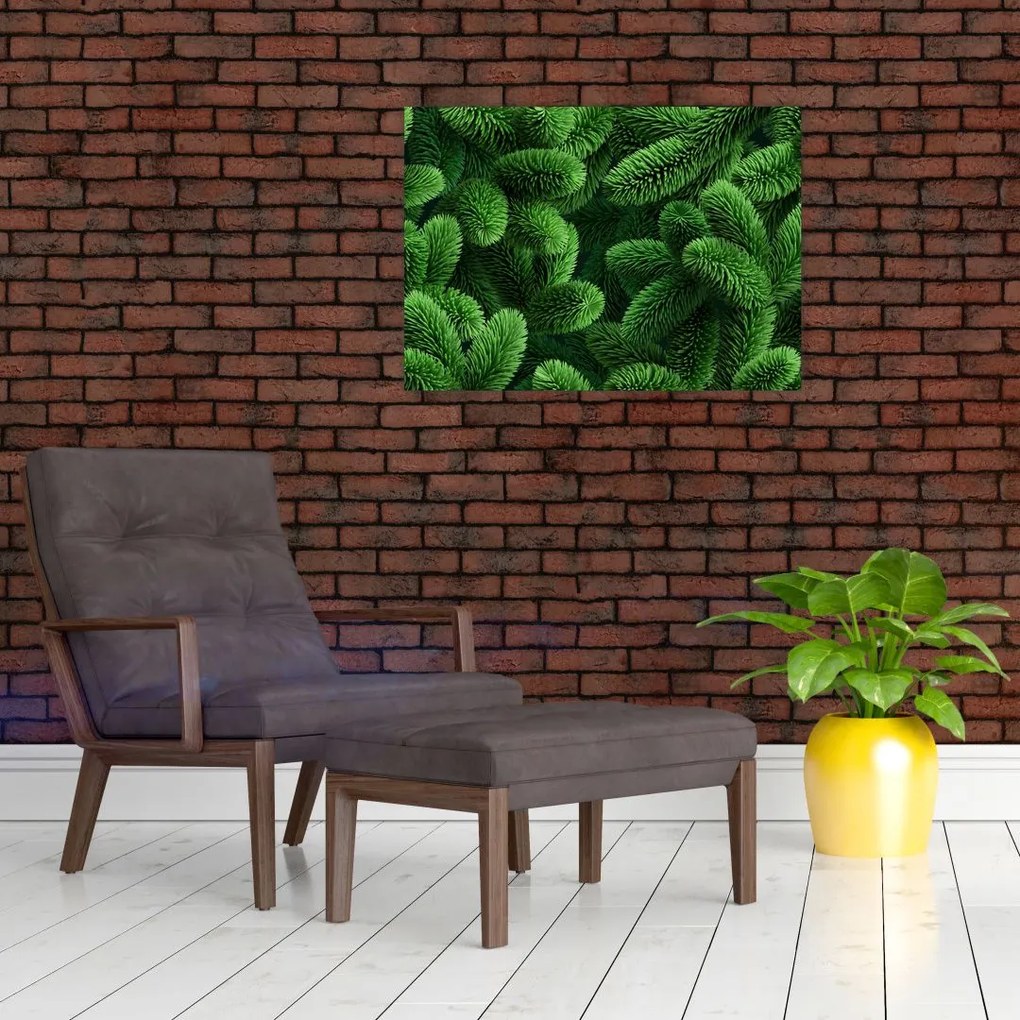 Tablou - Ramuri de conifere (70x50 cm)