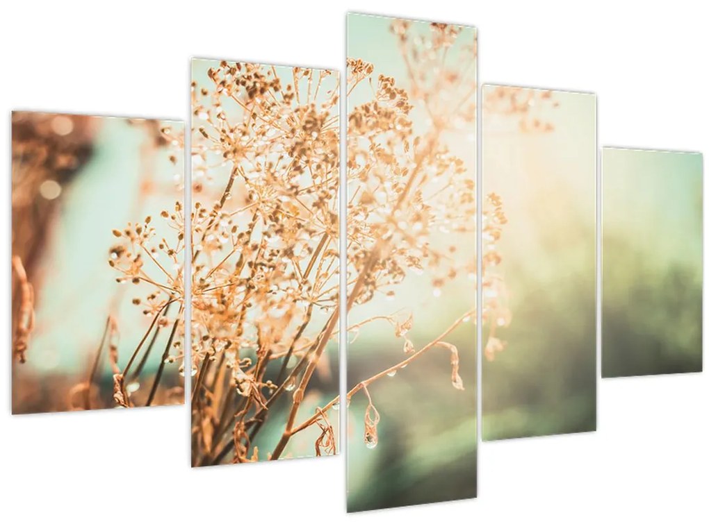 Tablou - Plante de luncă (150x105 cm)