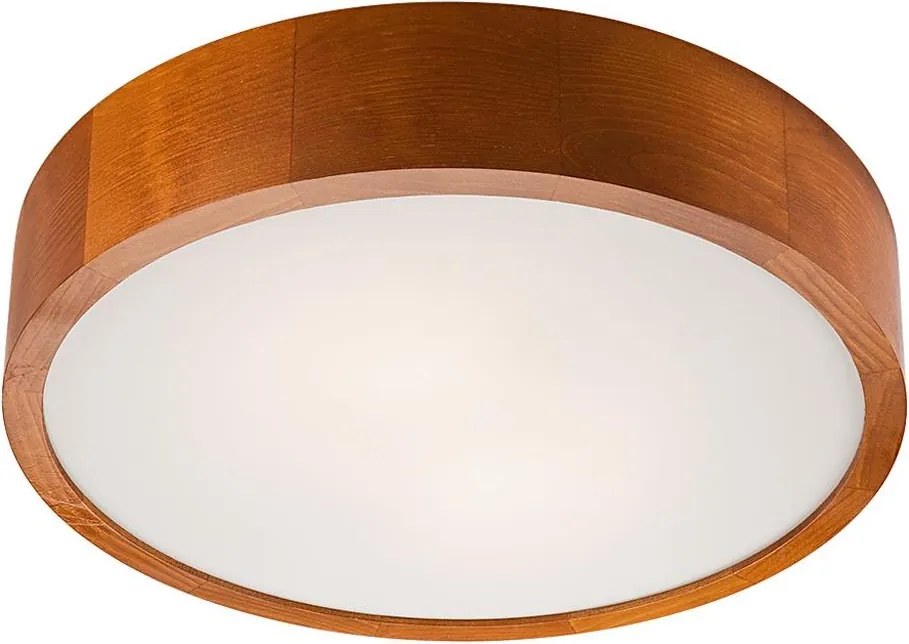 Plafonieră LED/24W/230V