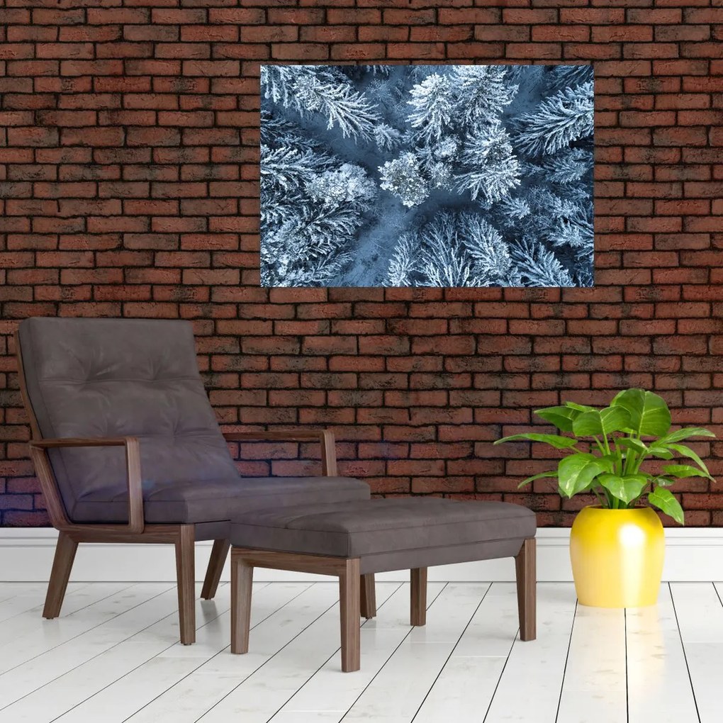 Tablou - Pădure înzăpezită (90x60 cm)