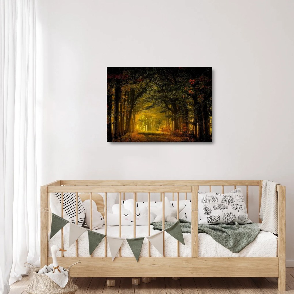 Tablou pe sticlă cu pădure (70x50 cm)
