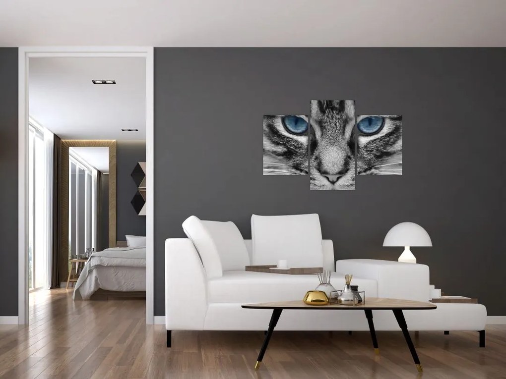 Tablou cu pisica (90x60 cm)