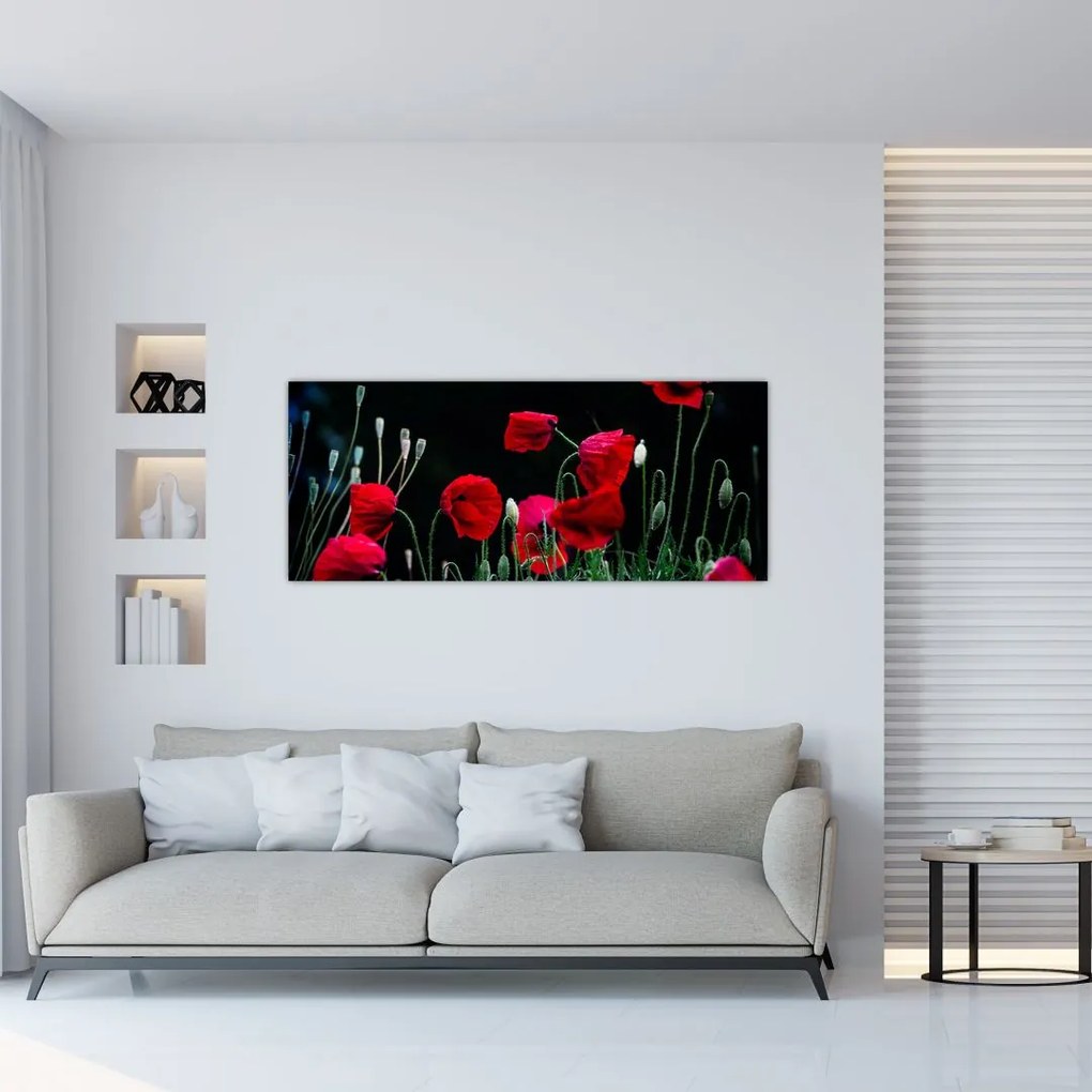 Tablou - Dansul macilor (120x50 cm)