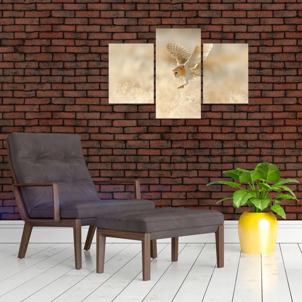 Tablou - Bufniță (90x60 cm)