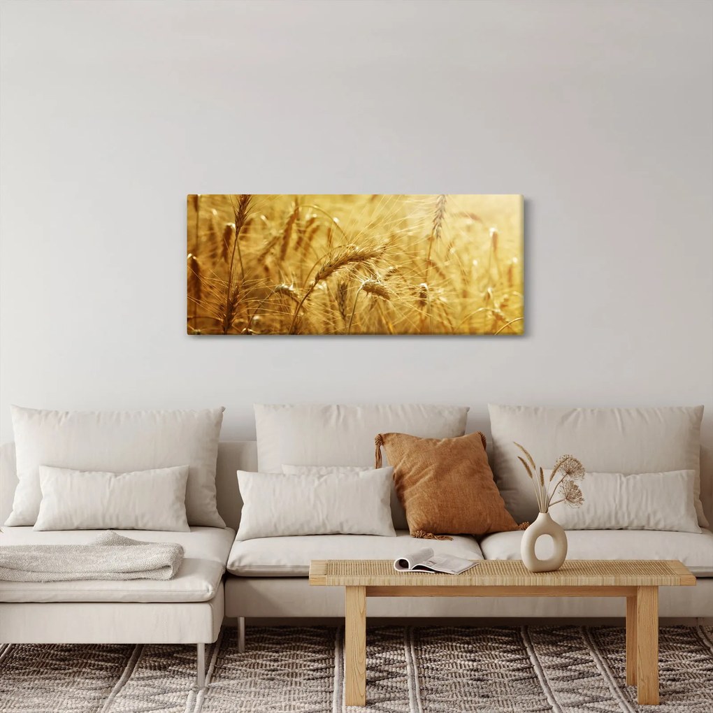 Tablou - Spice de cereale (120x50 cm)