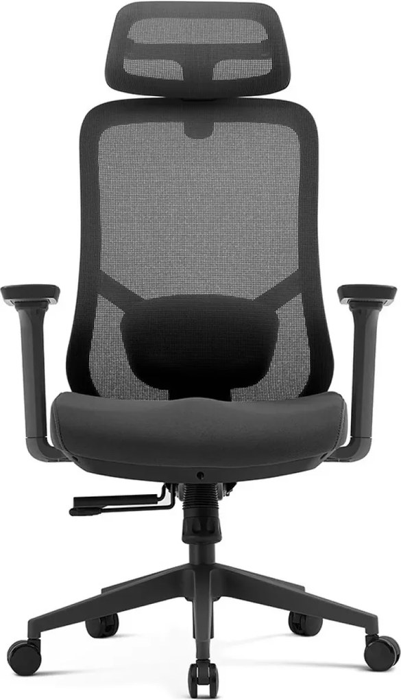 Scaun ergonomic premium Ally-H, spătar reglabil pe înălțime, șezut glisant, suport lombar 2D, tetieră 2D, cotiere 3D, reclinare 125°, Mesh + Textil, Negru