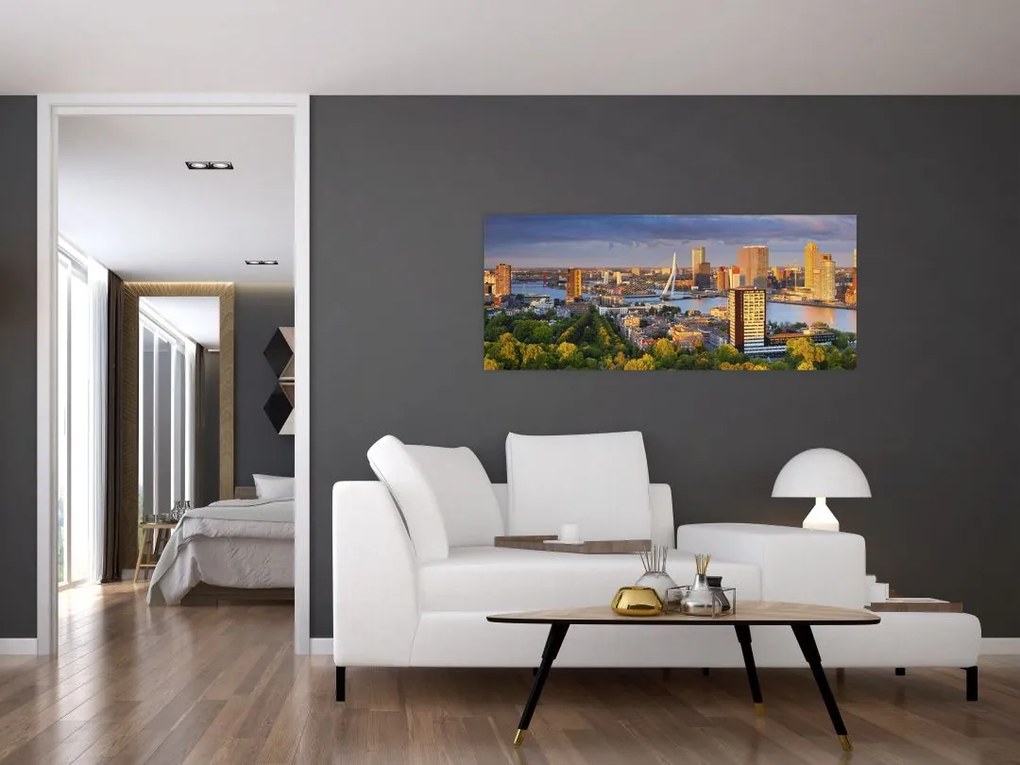 Tablou - Panorama Rotterdamului, Țările de Jos (120x50 cm)