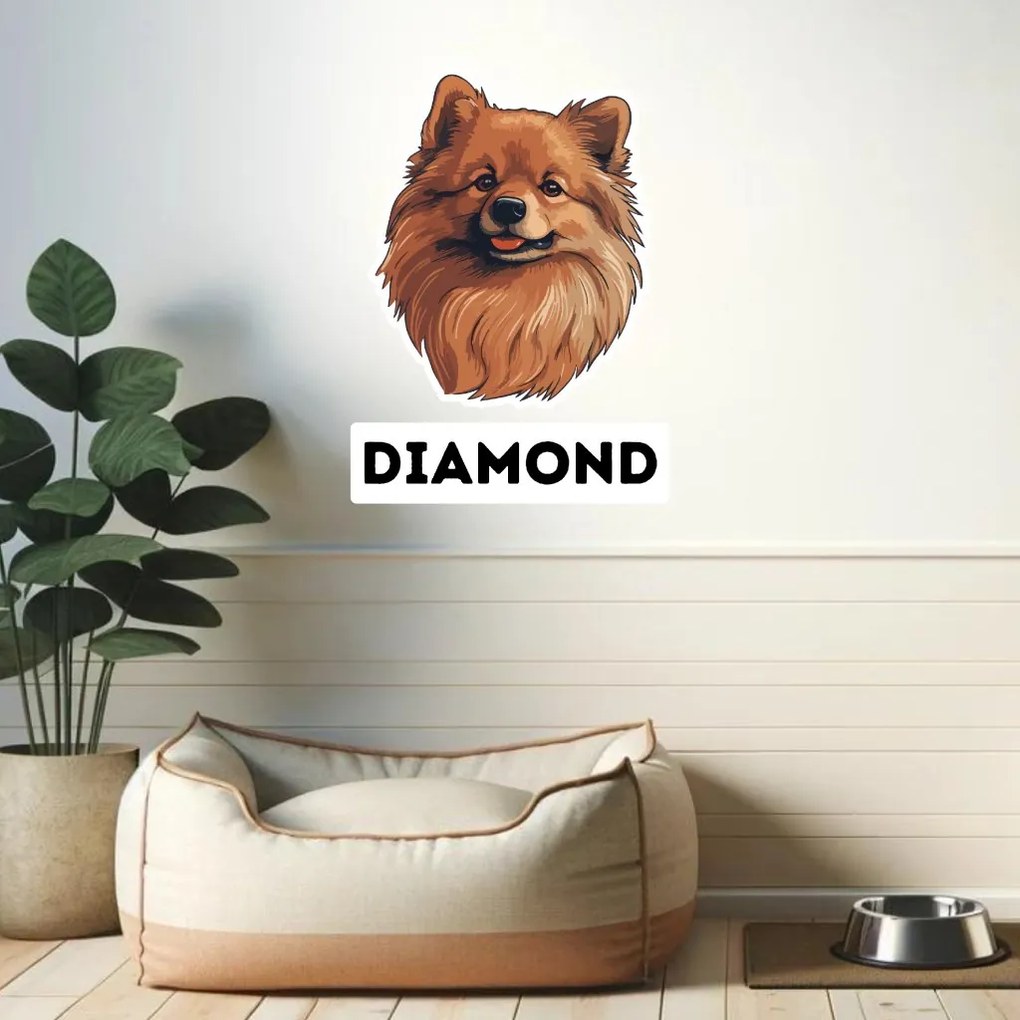 PIPPER. Autocolant Pomeranian mărimea: 60cm