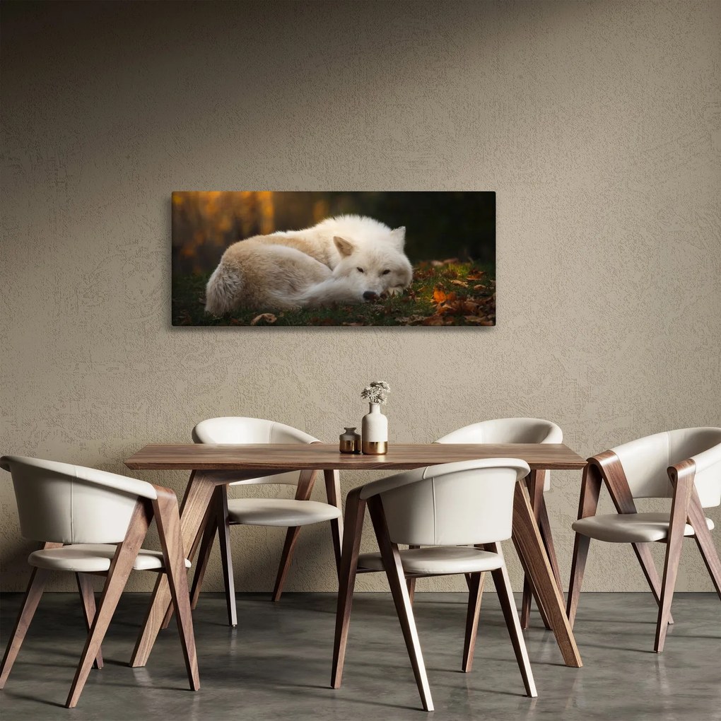 Tablou - Lupul care se odihnește (120x50 cm)