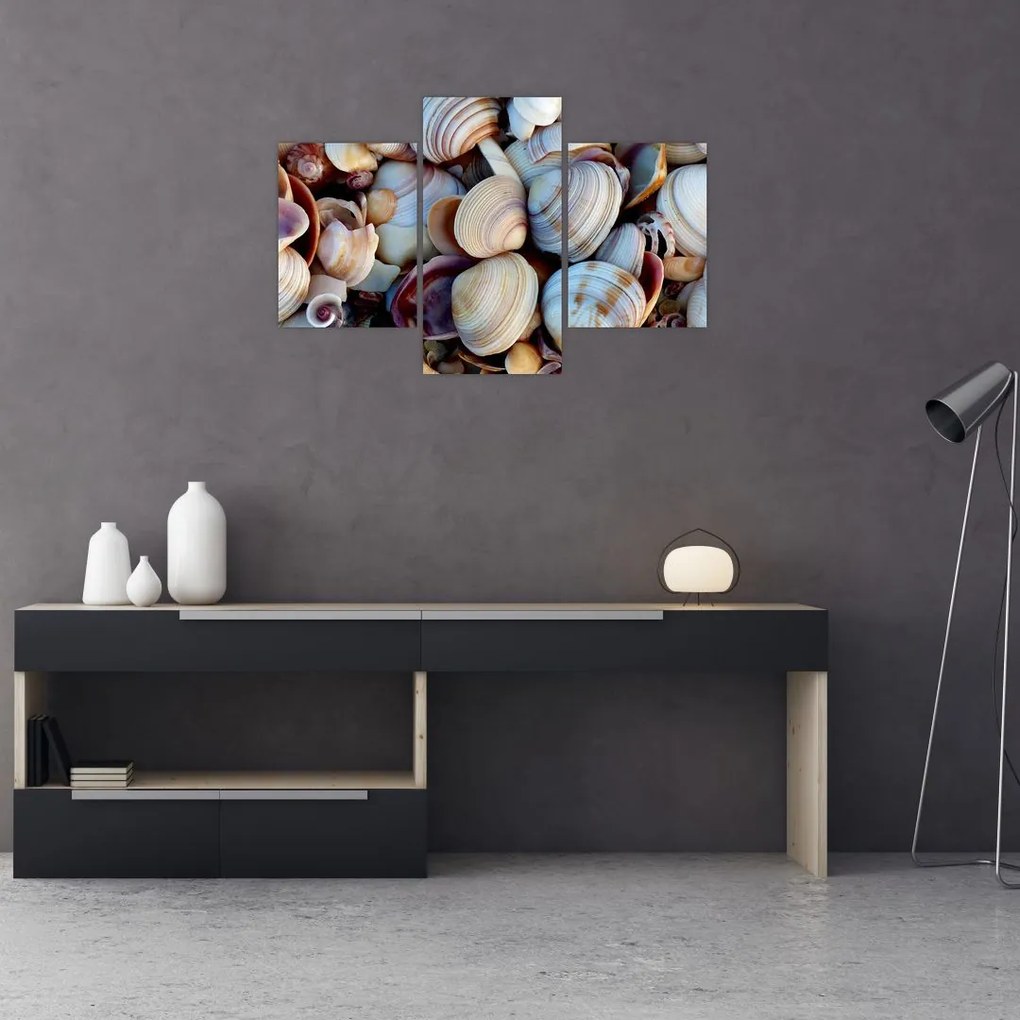 tablou cu scoici (90x60 cm)