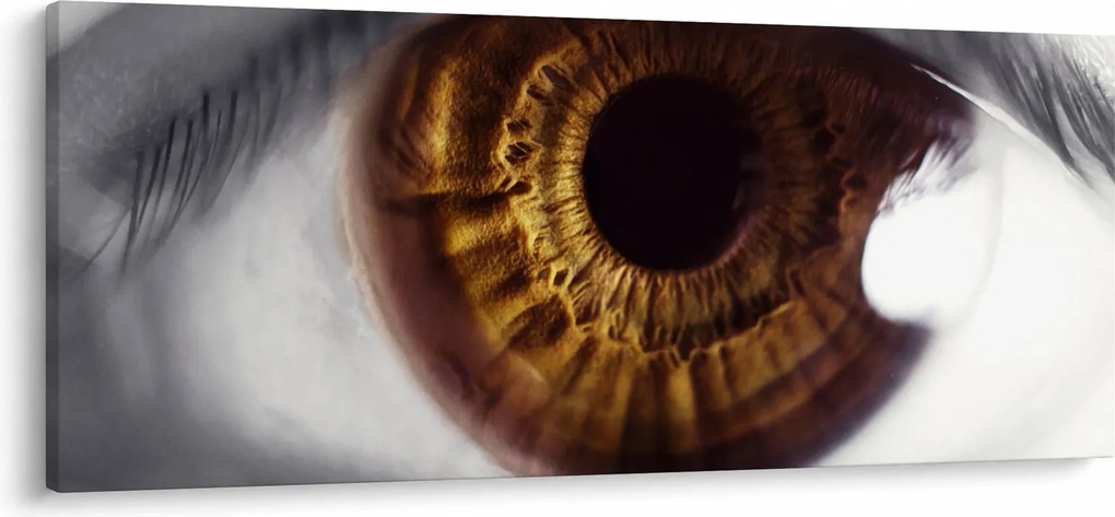 Tablou - Ochi (120x50 cm)
