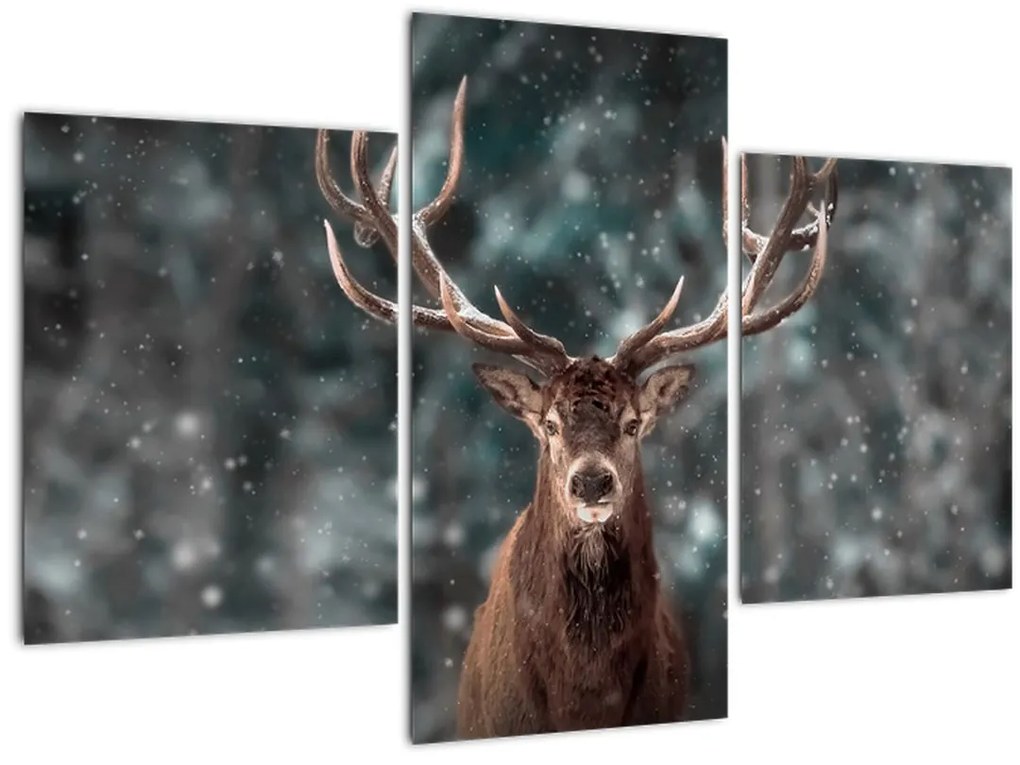 Tablou - Cerbul majestic (90x60 cm)