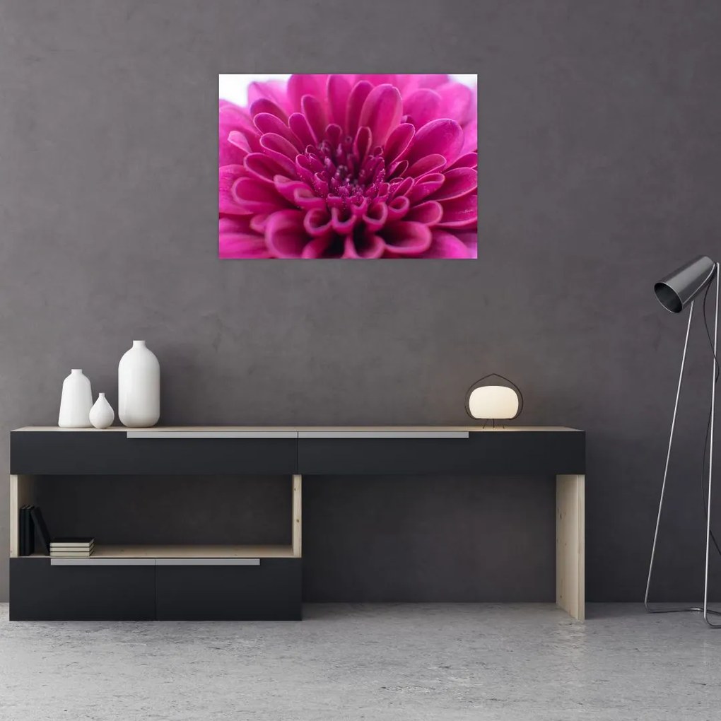 Tablou cu floare (70x50 cm)