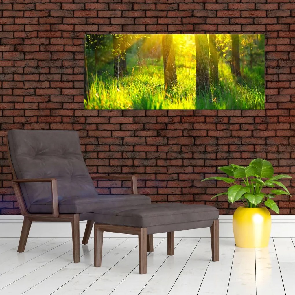 Tablou - Trezirea de primăvară a pădurii (120x50 cm)