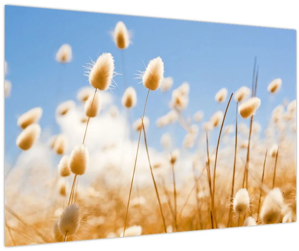 Tablou - Câmp de aur (90x60 cm)