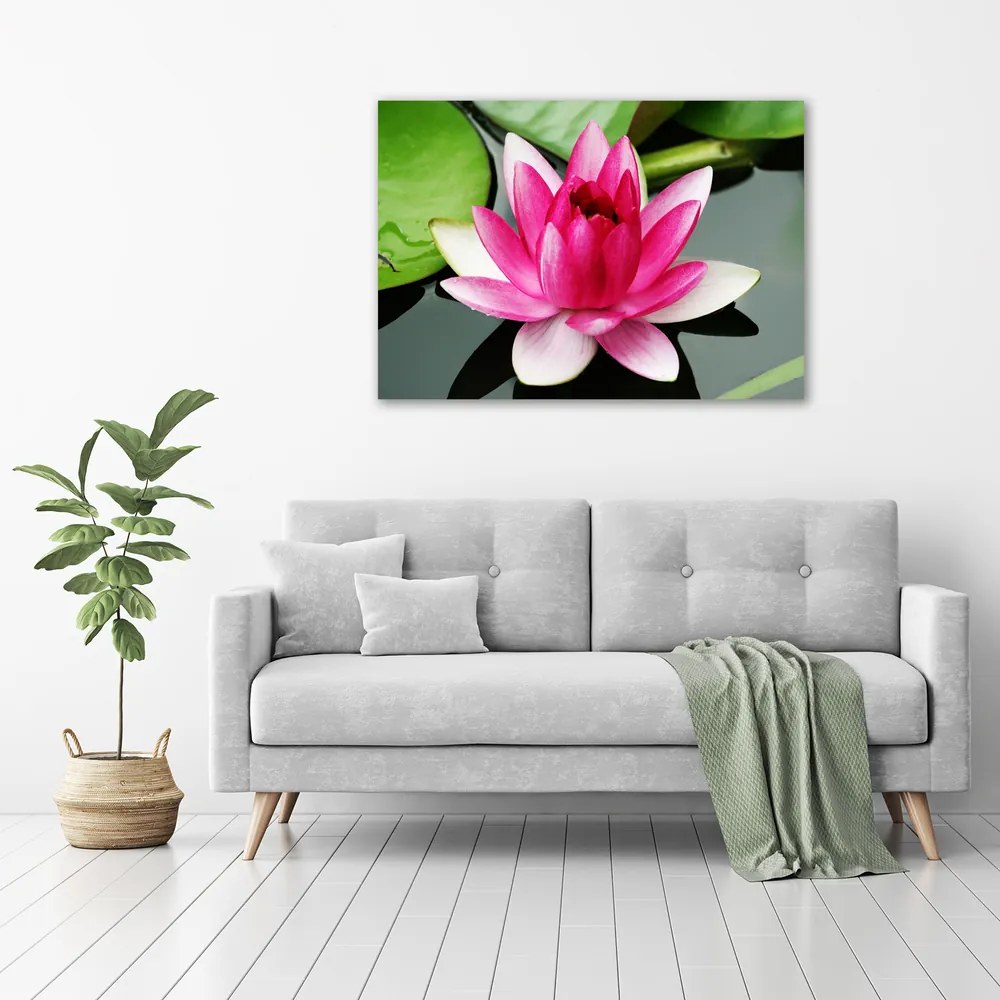 Tablou canvas Nufăr