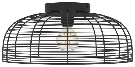 Plafonieră Eglo 43896 RINROE 1xE27/40W/230V negru